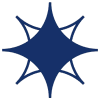 9S-v-40881