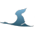 JS-v-34928