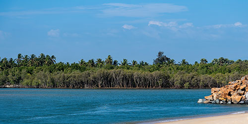 أبو ظبي - مانغالور